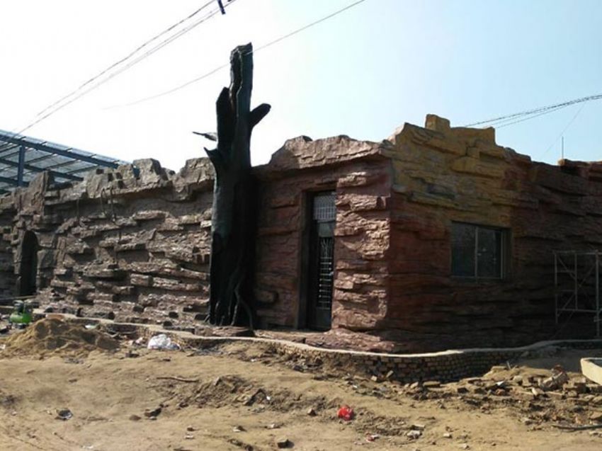 點(diǎn)擊查看詳細(xì)信息<br>標(biāo)題：假房子 閱讀次數(shù)：1422