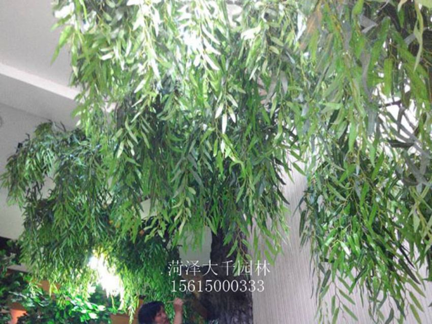 點擊查看詳細信息<br>標題：假樹 閱讀次數：1474