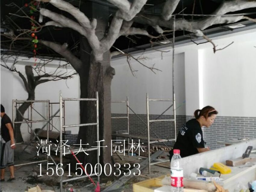 點擊查看詳細信息<br>標題：假樹 閱讀次數：1480