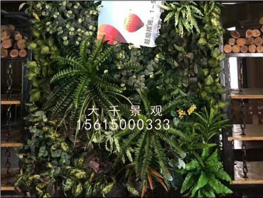 點擊查看詳細(xì)信息<br>標(biāo)題：綠植墻 閱讀次數(shù)：1515
