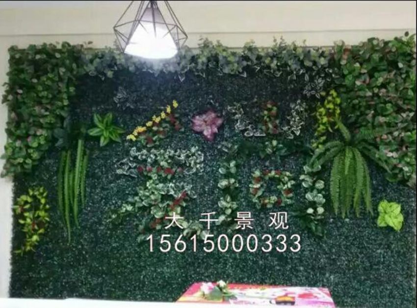 點(diǎn)擊查看詳細(xì)信息<br>標(biāo)題：綠植墻 閱讀次數(shù)：1668