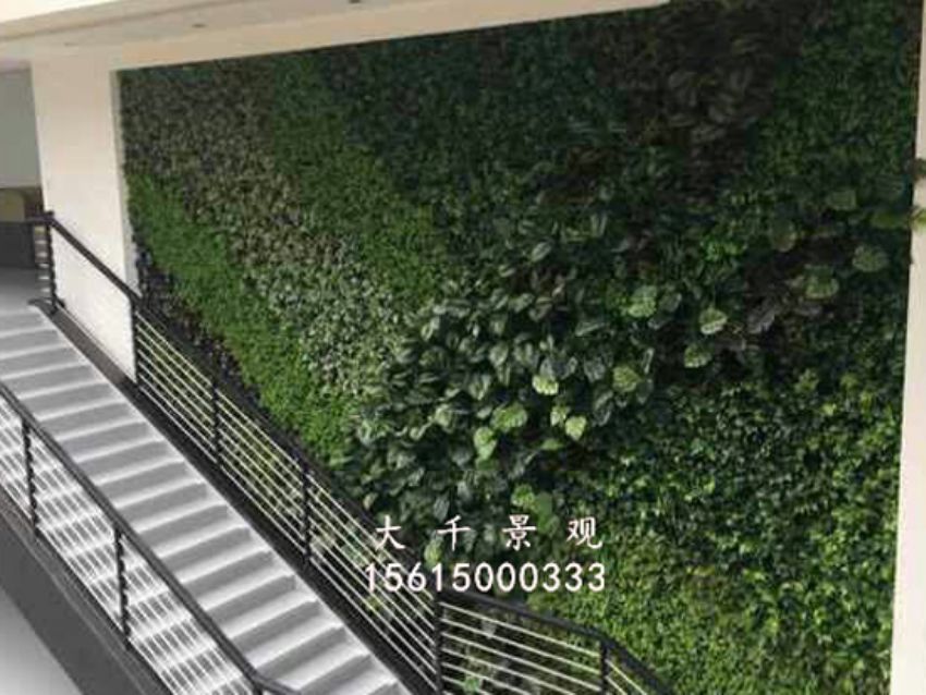 點(diǎn)擊查看詳細(xì)信息<br>標(biāo)題：綠植墻 閱讀次數(shù)：1788