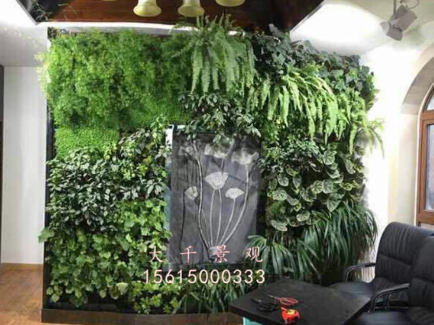 點(diǎn)擊查看詳細(xì)信息<br>標(biāo)題：綠植墻 閱讀次數(shù)：1865