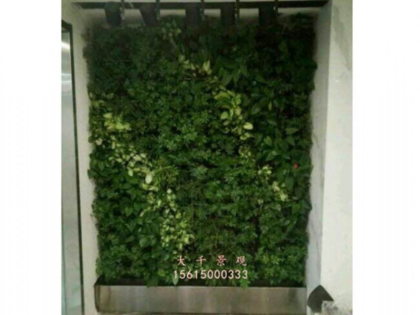 點擊查看詳細信息<br>標題：綠植墻 閱讀次數：2213