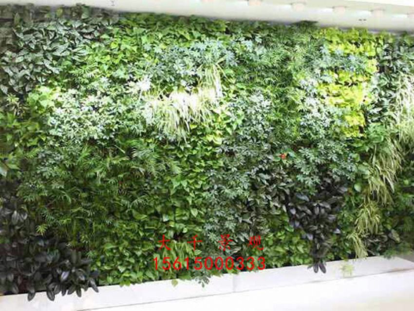 點擊查看詳細信息<br>標題：綠植墻 閱讀次數：2545